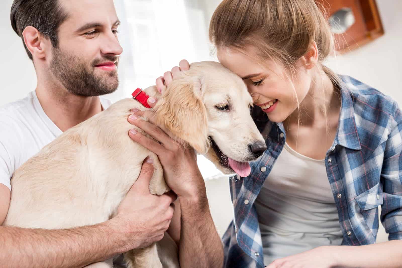 Live with Your Pets at Morgan Maples Estates – Truly Pet-Inclusive Housing